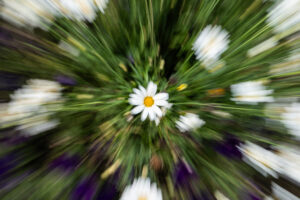 ICM-ZoomBurst